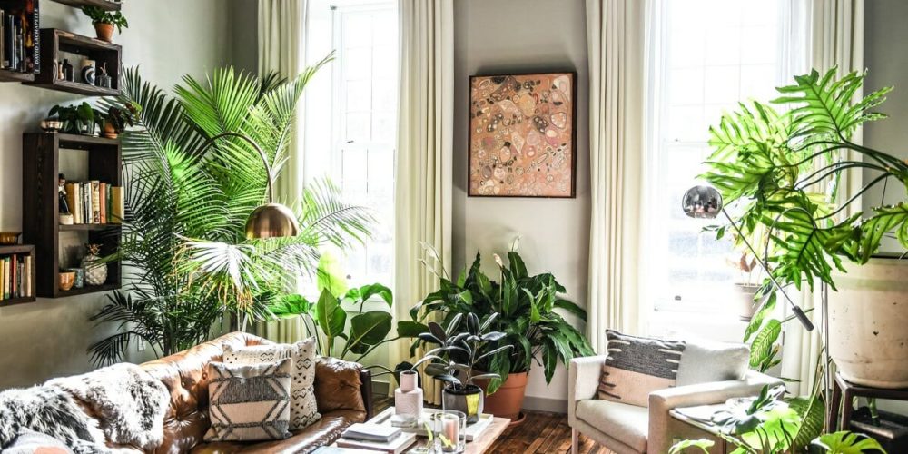 Living-room-design-with-plants-Coveteur